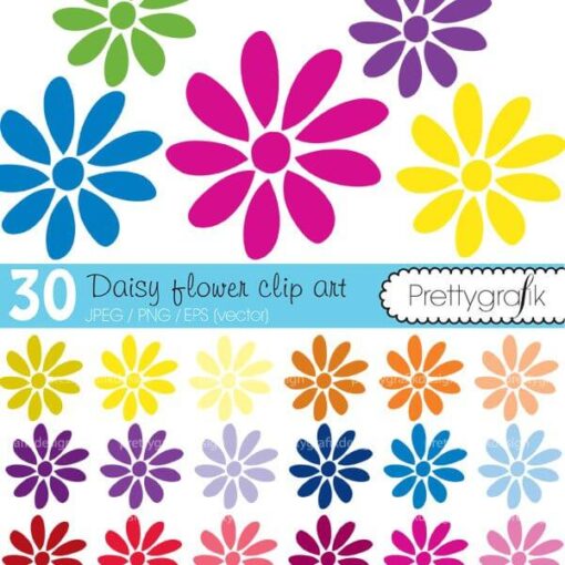 Flower daisy clipart