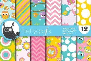Spring owls papers
