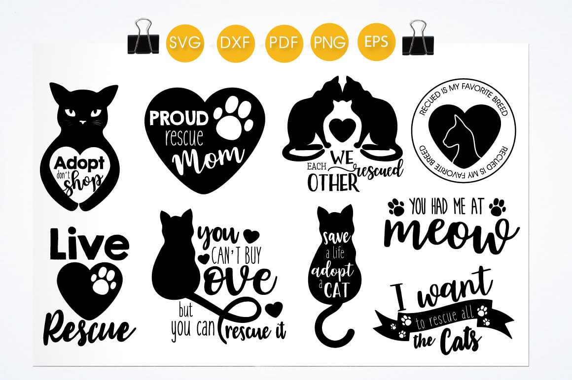 Svg Cut File Cat bundle SVG, PNG, EPS, DXF - Prettygrafik Store