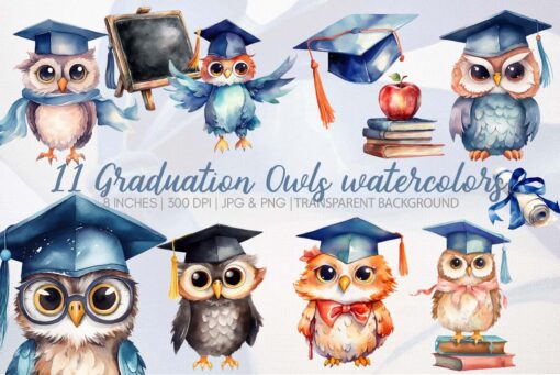 Graduation owl watercolor clipart
